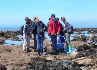 Group of students on the beach taking part in a fossil walk